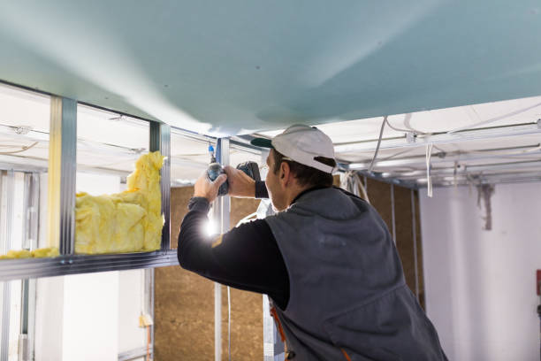 Best DIY Insulation Kits and Guidance in Fremont, OH