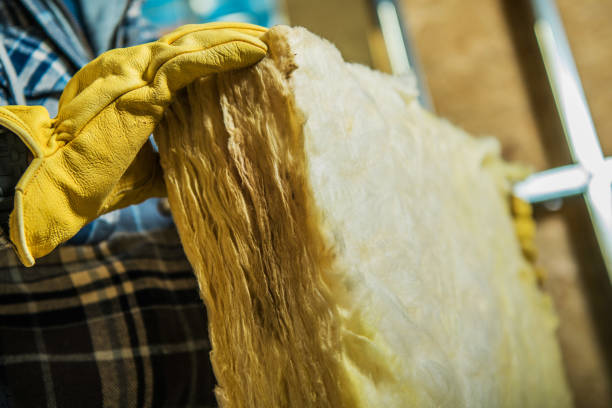 Best Eco-Friendly Insulation in Fremont, OH